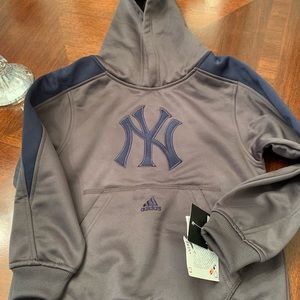 Kids NY Yankees hoodie. Brand new!!!